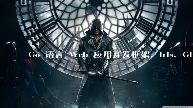 Go 语言 Web 应用开发框架，Iris、Gin、Echo，哪一个更适合大型项目？