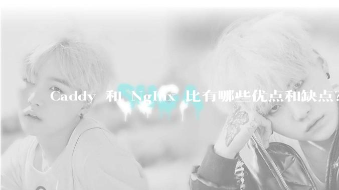 Caddy 和 Nginx 比有哪些优点和缺点？